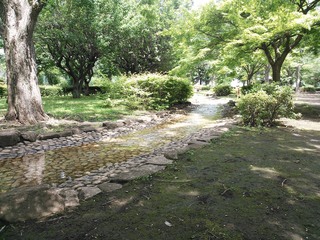 仙川公園２