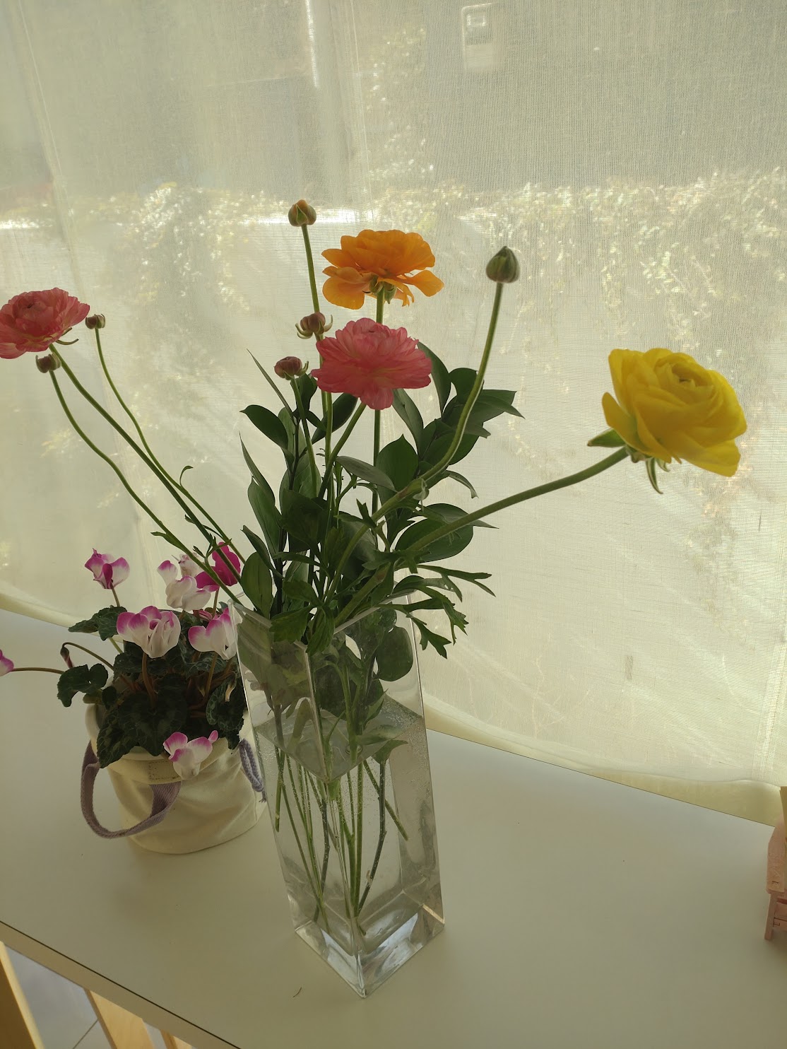 NPO活動について近況報告です！のイメージ