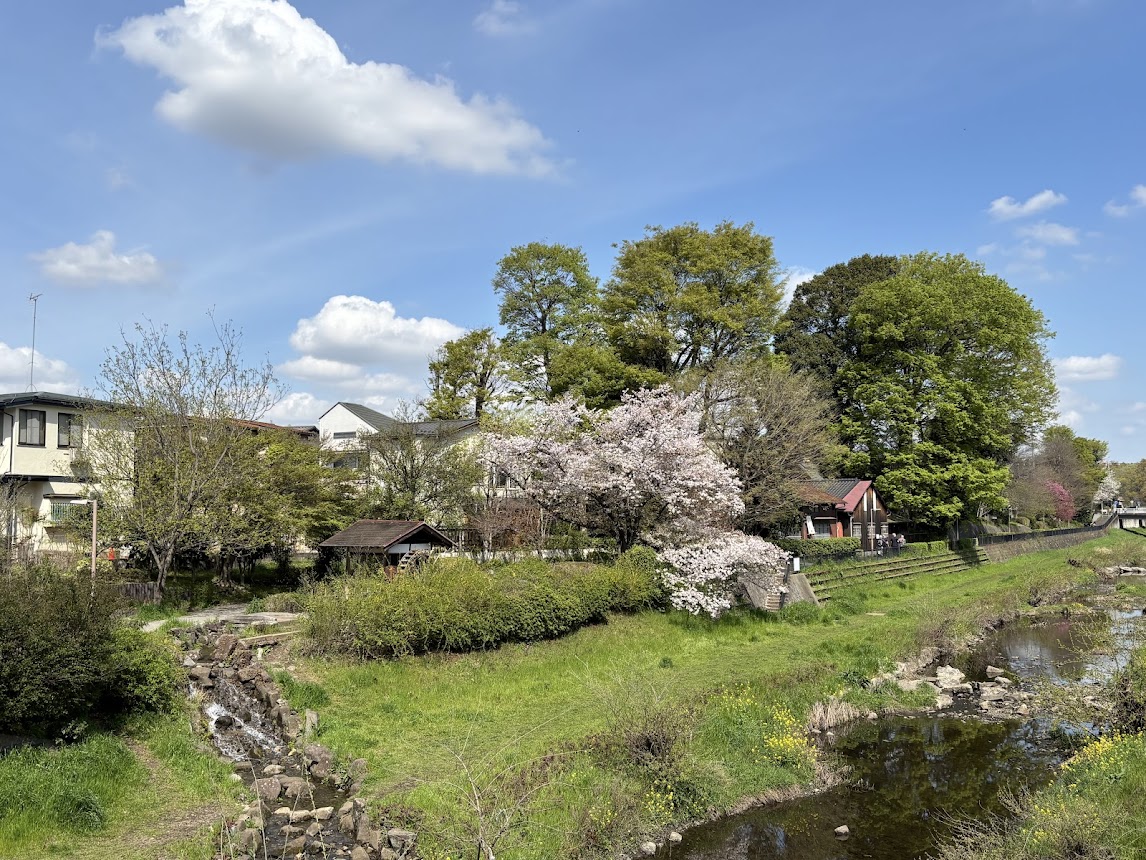 「大沢の里」の春のイメージ